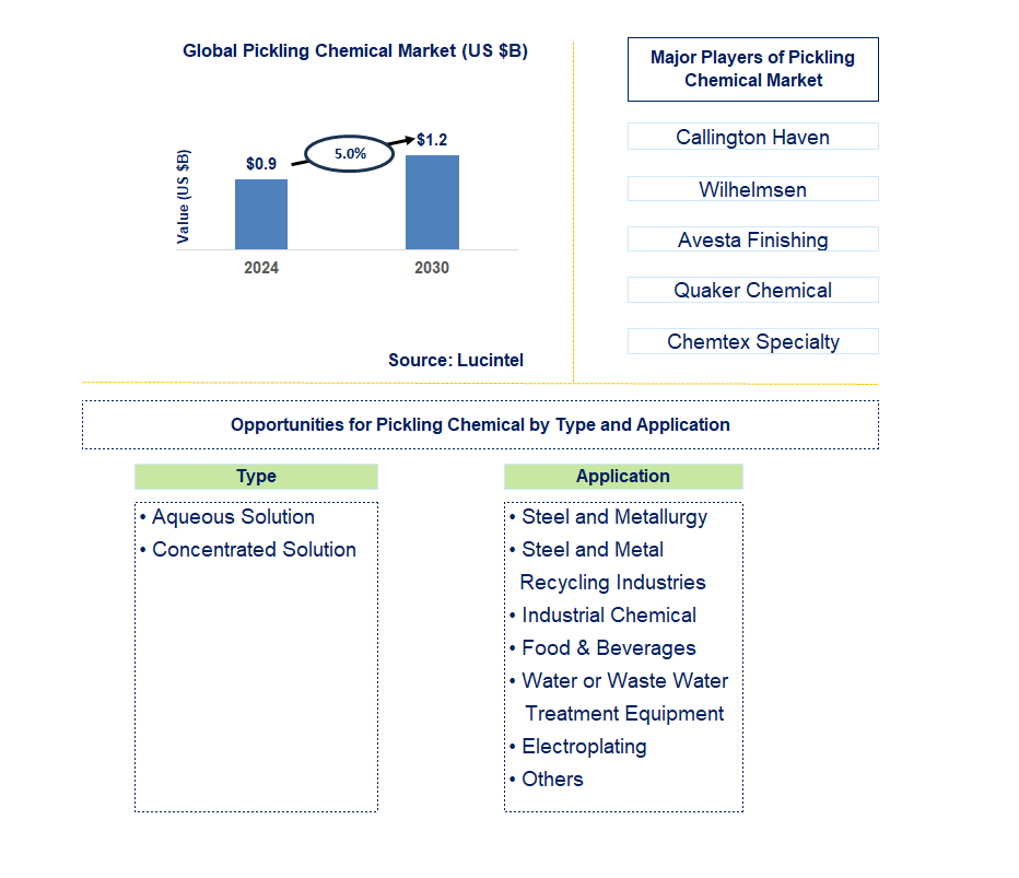 Pickling Chemical Trends and Forecast